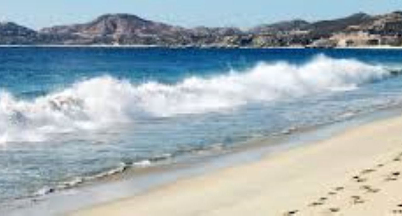 Photo of Others in Downtown San Jose del Cabo