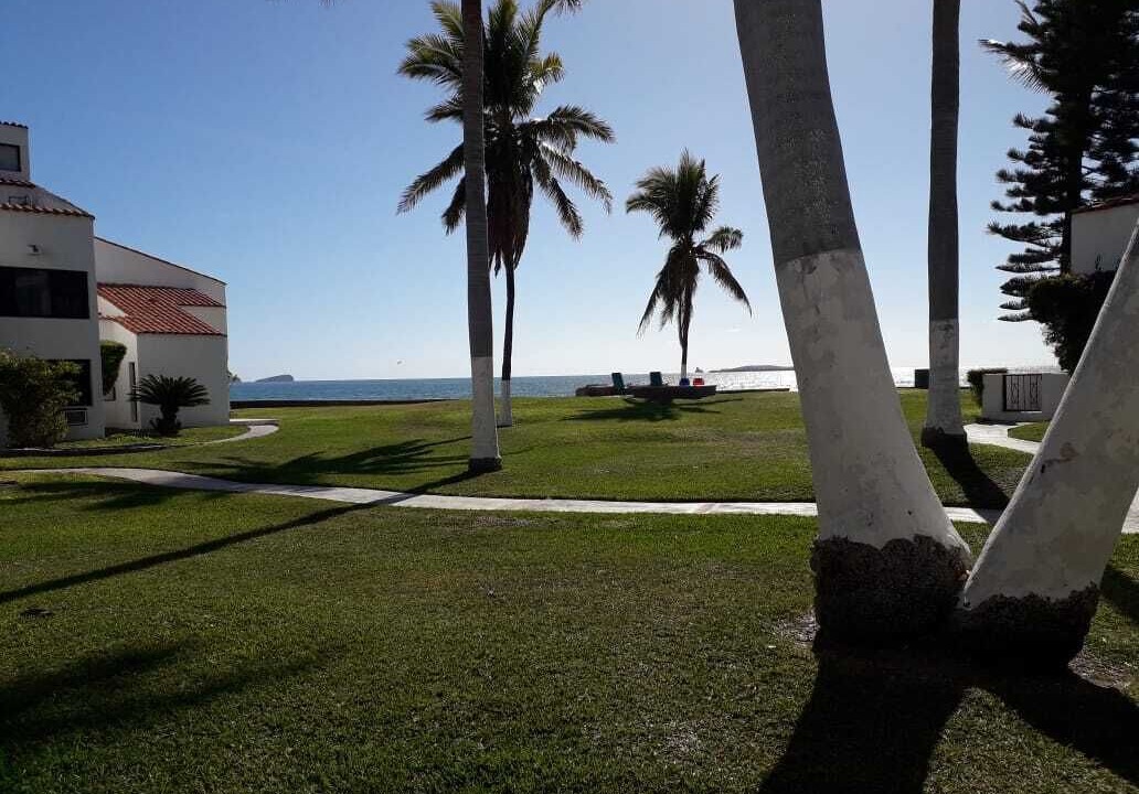 Photo of Outdoor in San Carlos