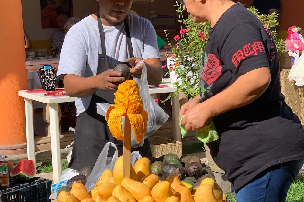 Photo of Others in San Antonio Tlayacapan