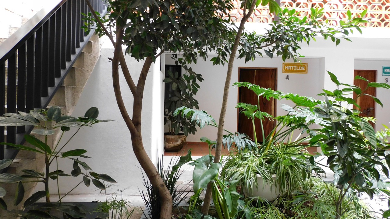 Photo of Outdoor in Cholula