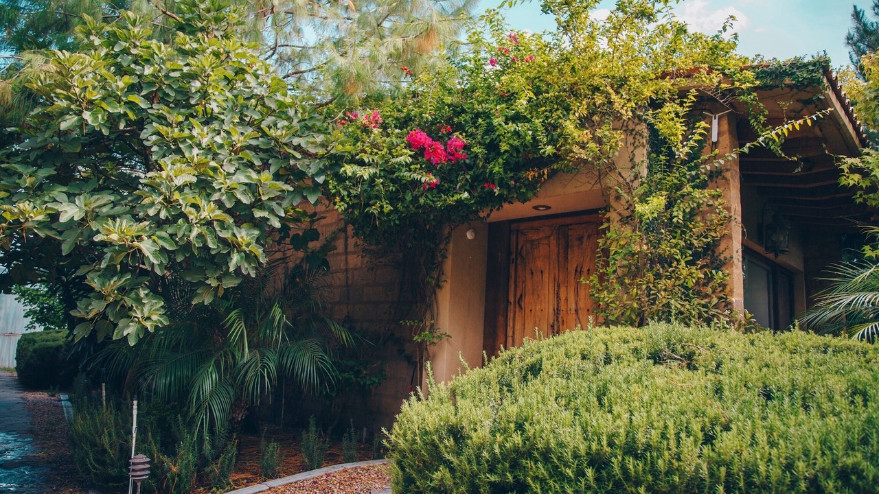 Photo of Outdoor in El Marques