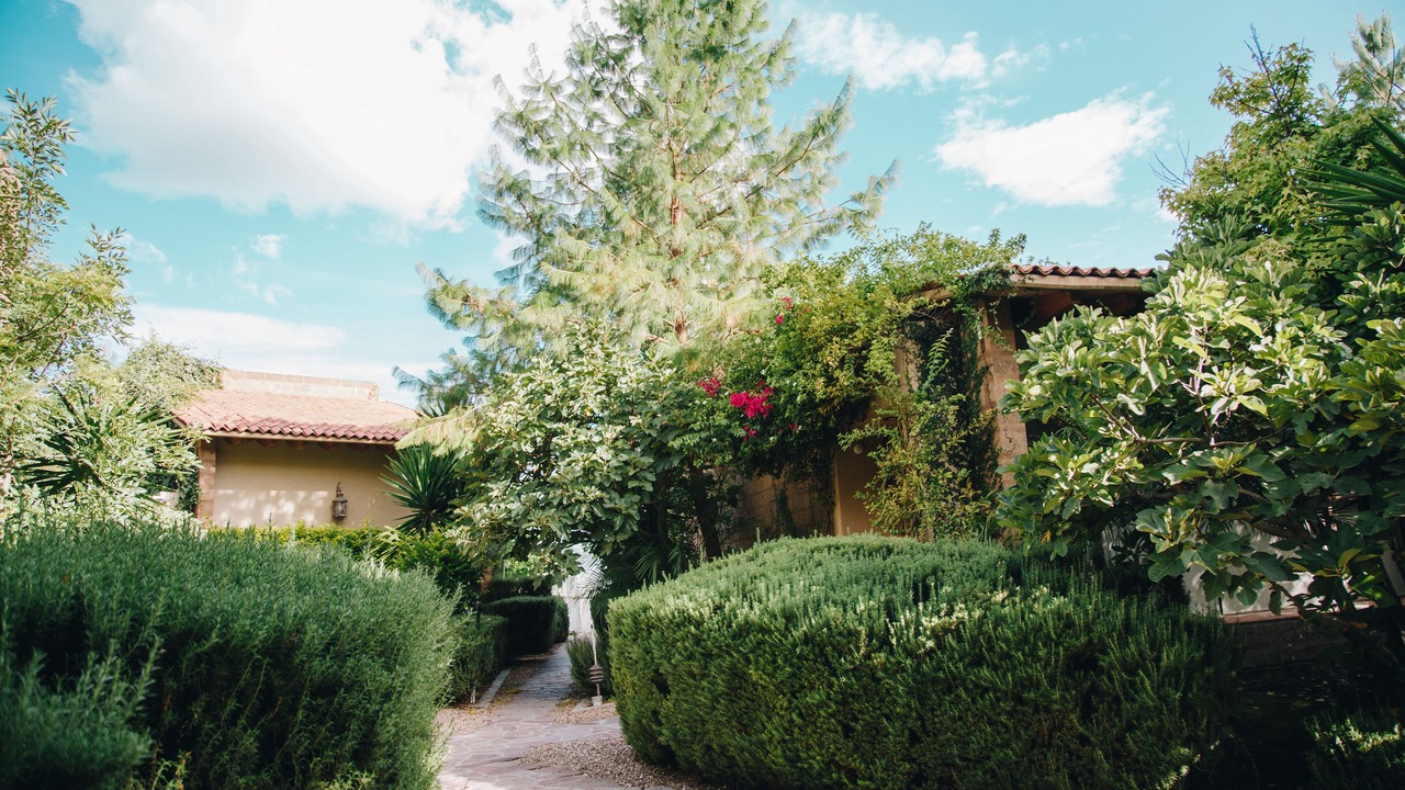 Photo of Outdoor in El Marques