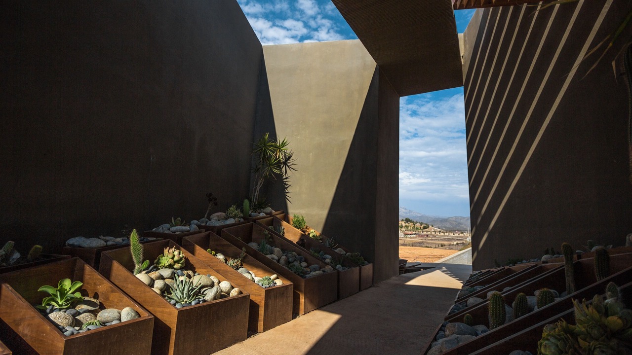 Photo of Outdoor in Valle de Guadalupe