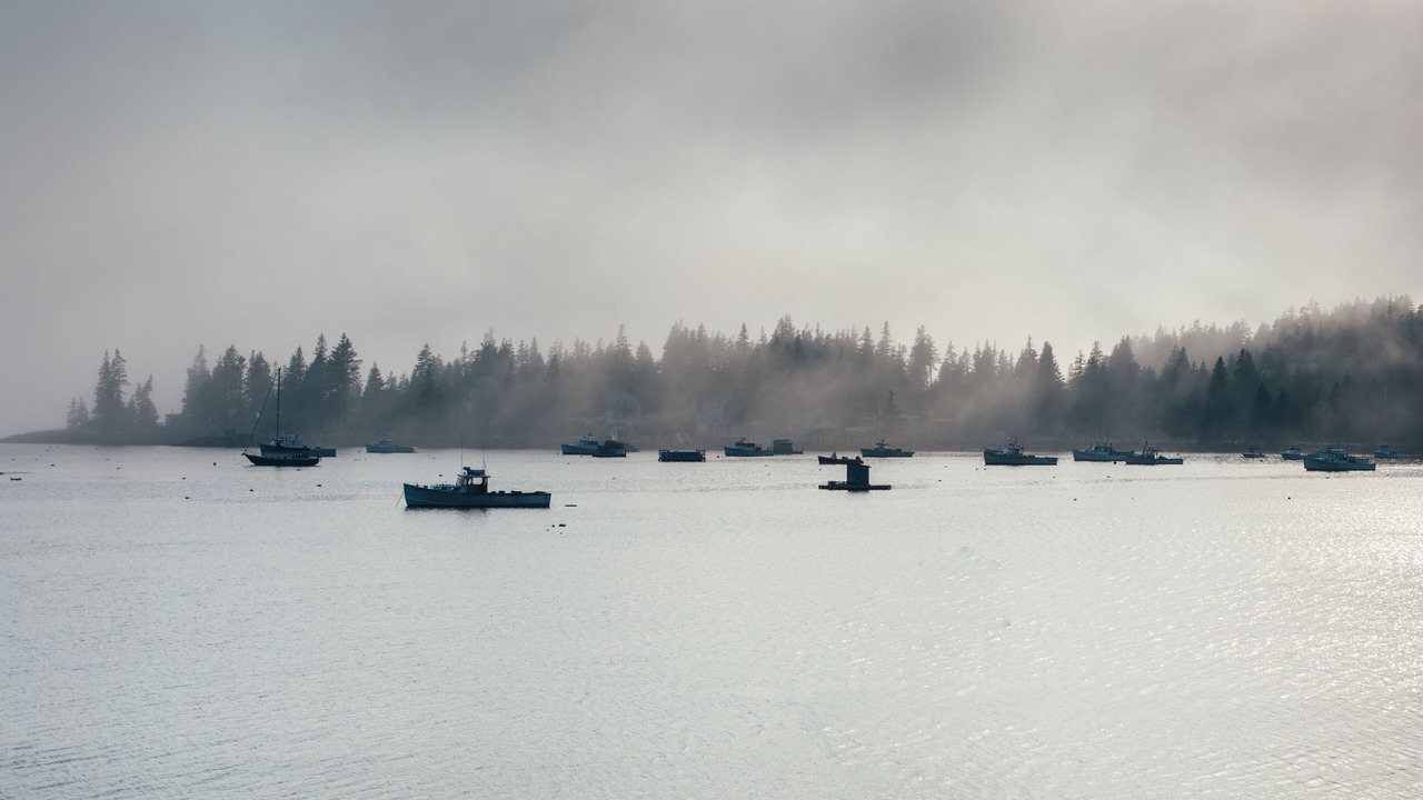 Photo of Others in Vinalhaven