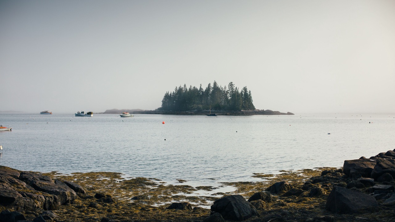 Photo of Others in Vinalhaven
