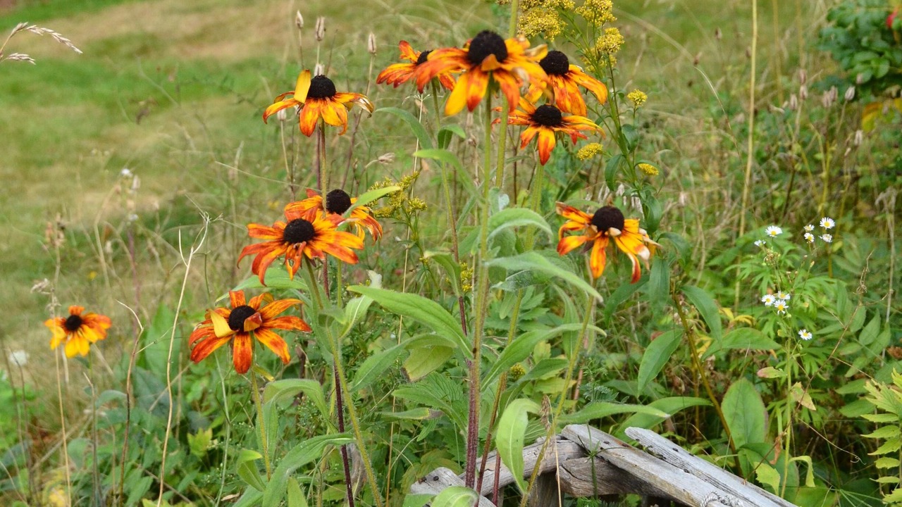 Photo of Outdoor in Vinalhaven