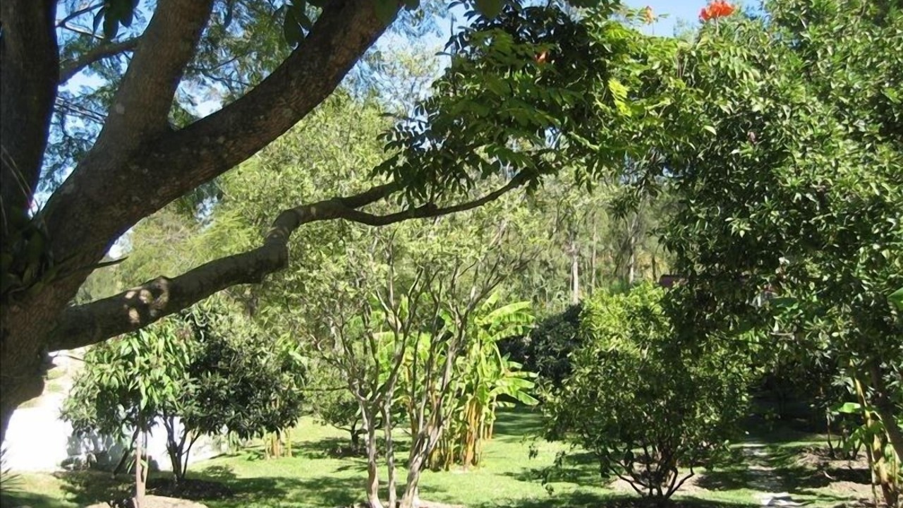 Photo of Others in 3a Seccion San Pablo Etla