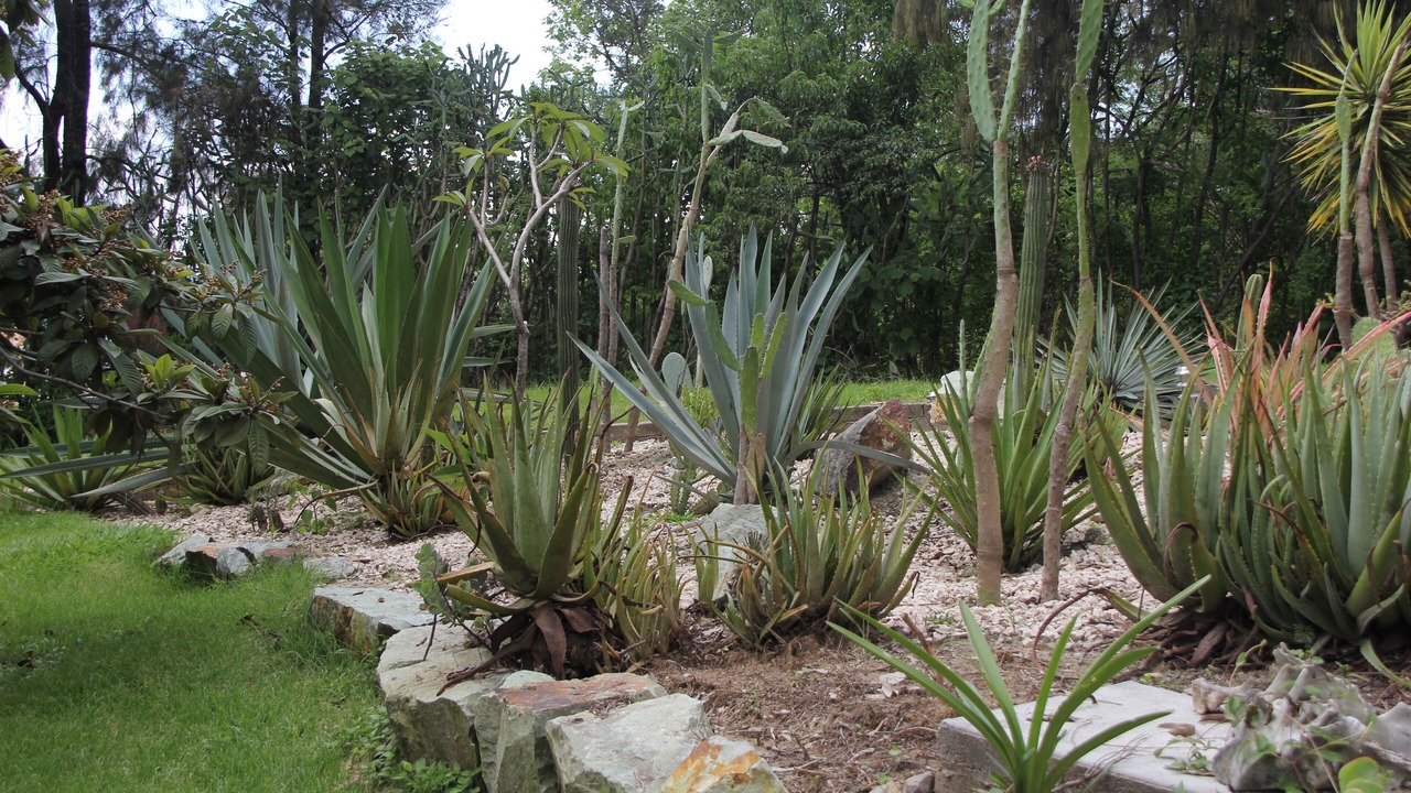 Photo of Outdoor in 3a Seccion San Pablo Etla