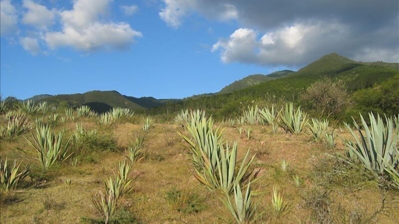 Photo of Outdoor in 3a Seccion San Pablo Etla