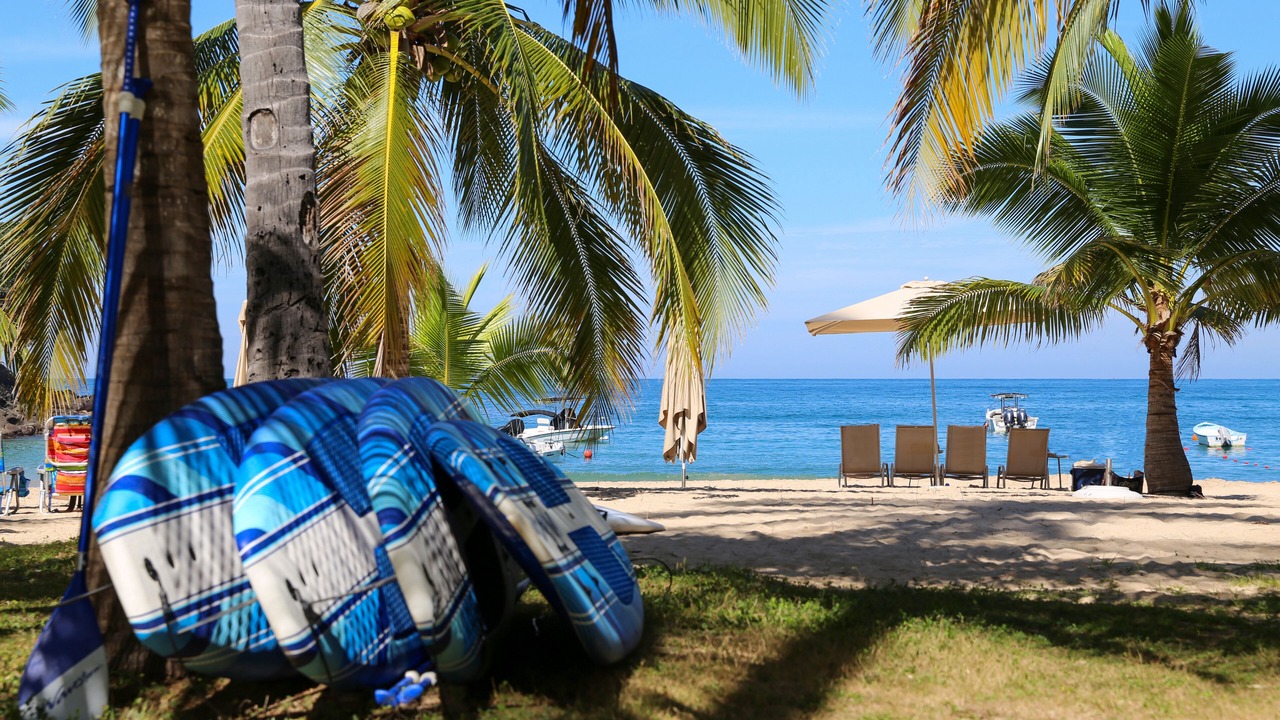 Photo of Others in Chacala