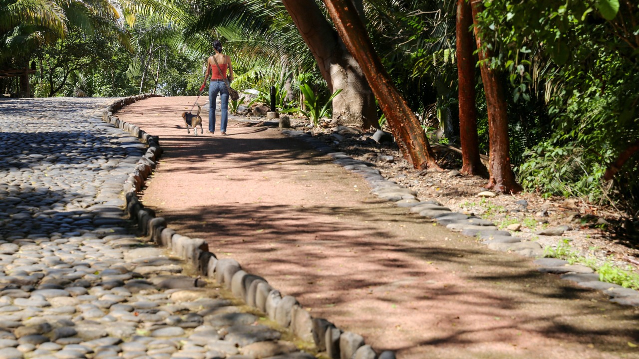 Photo of Outdoor in Chacala