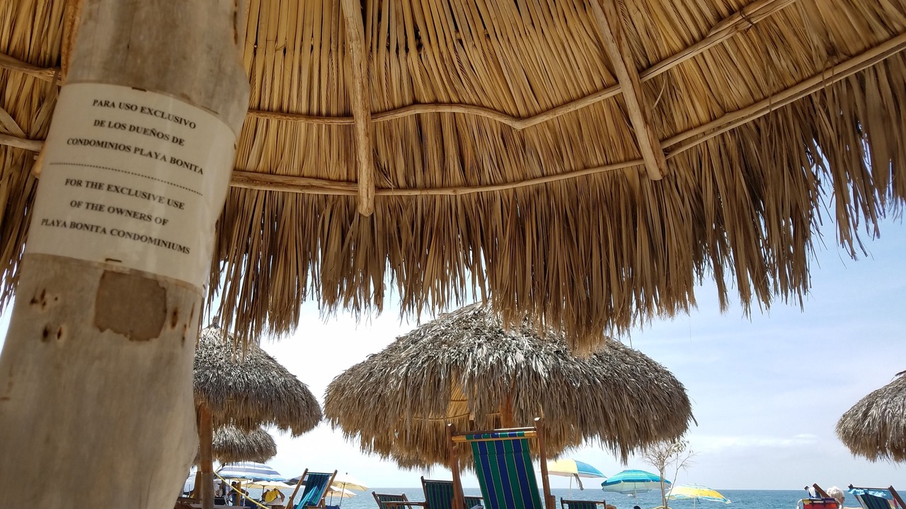 Photo of Outdoor in Amapas