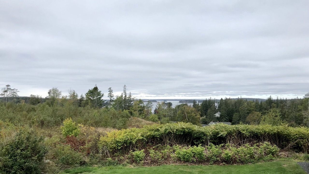 Photo of Others in Port Clyde
