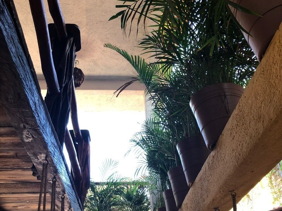 Photo of Outdoor in Barra de Potosi