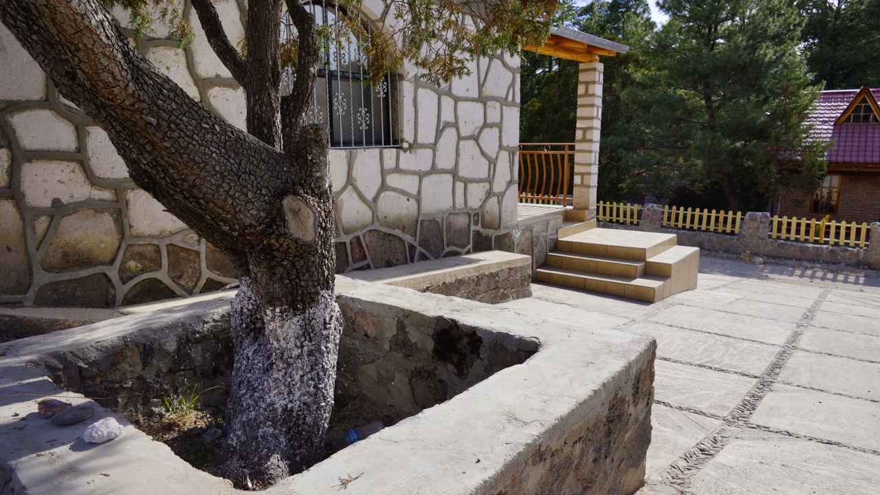 Photo of Outdoor in Areponapuchi
