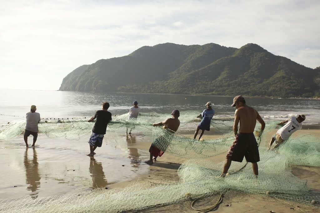 Photo of Others in Manzanillo