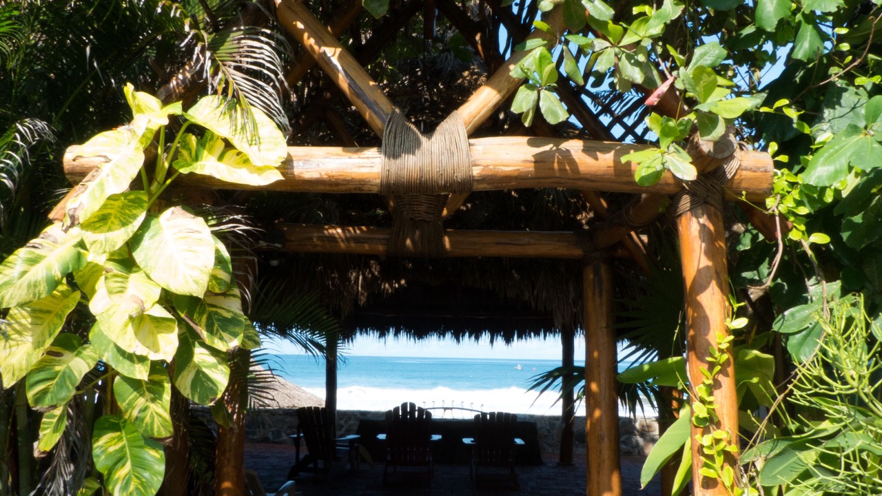 Photo of Outdoor in Chacala