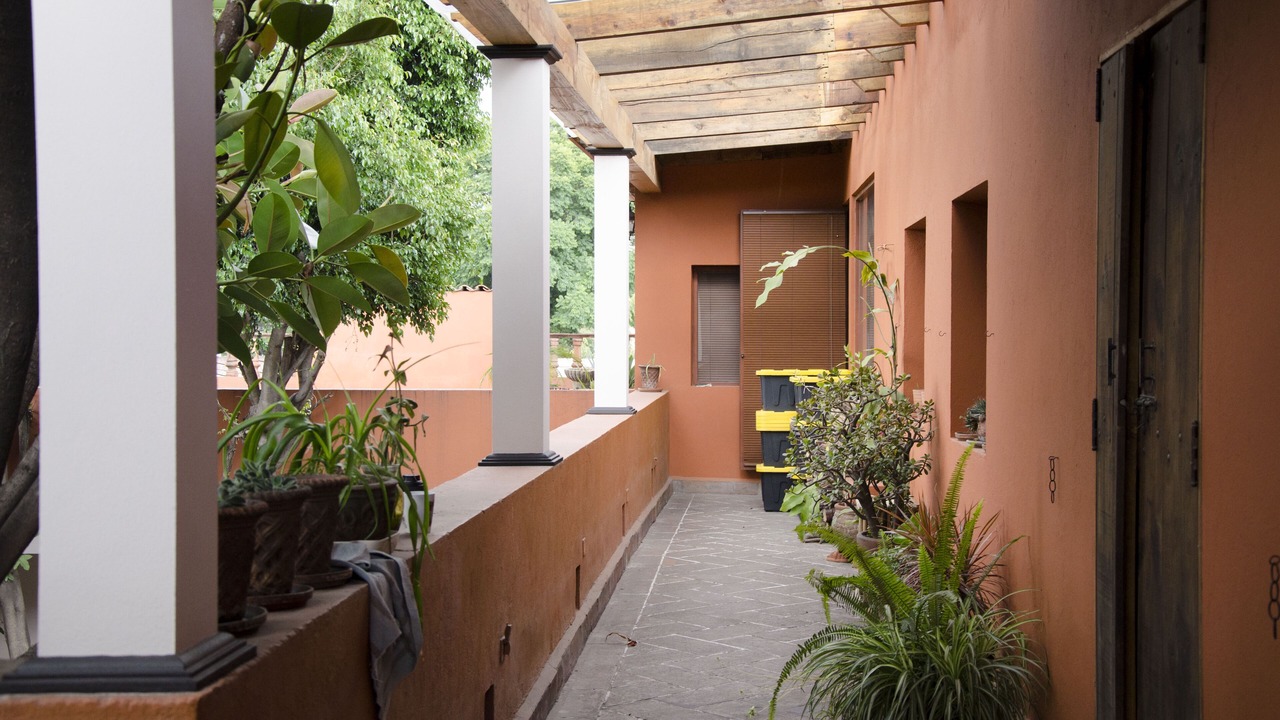 Photo of Outdoor in San Miguel Chapultepec