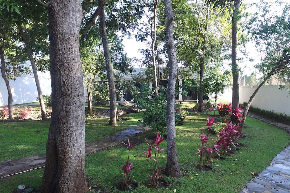 Photo of Outdoor in Amacueca