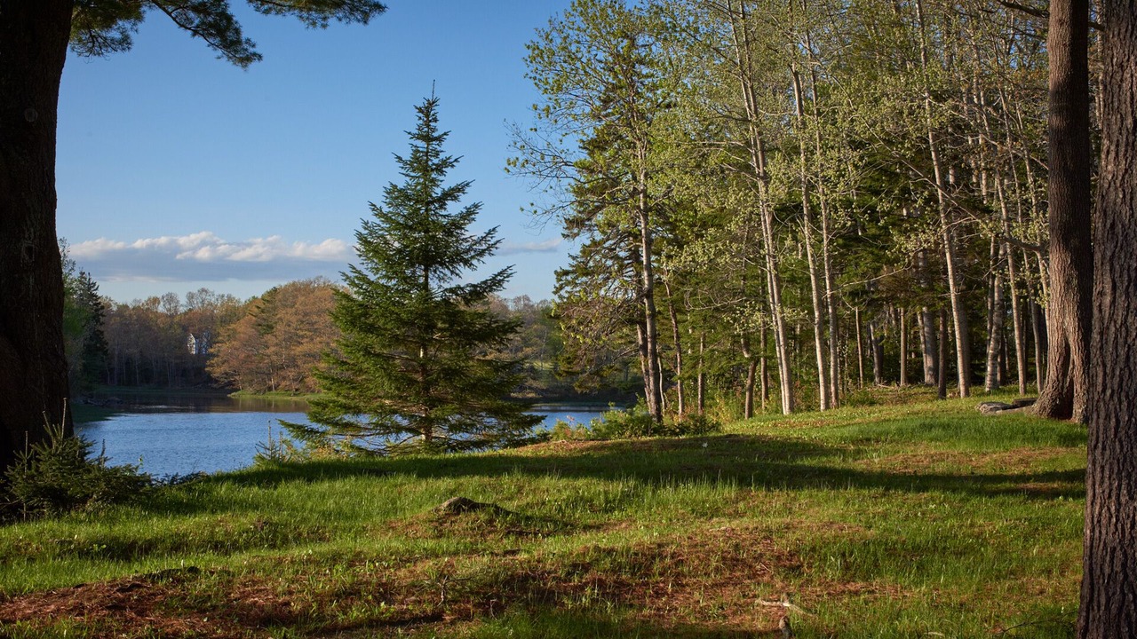 Photo of Outdoor in South Thomaston