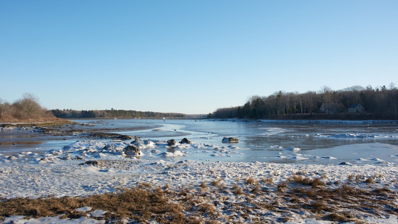 Photo of Others in South Thomaston