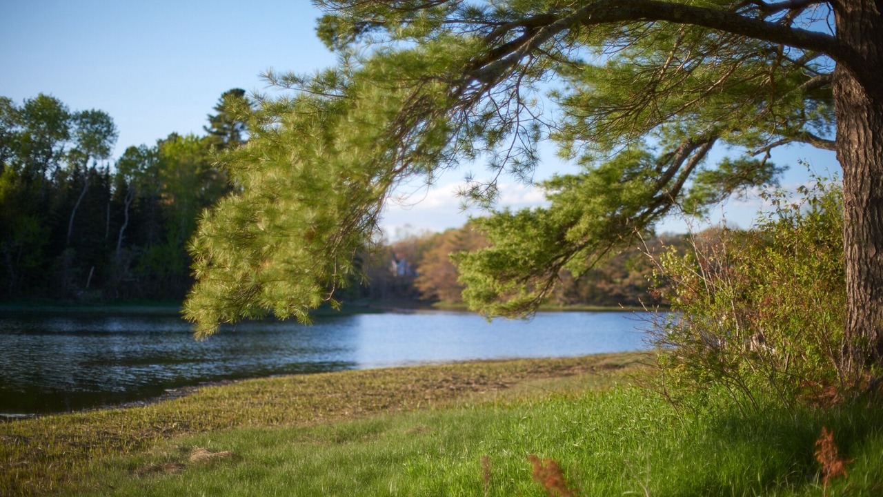 Photo of Outdoor in South Thomaston