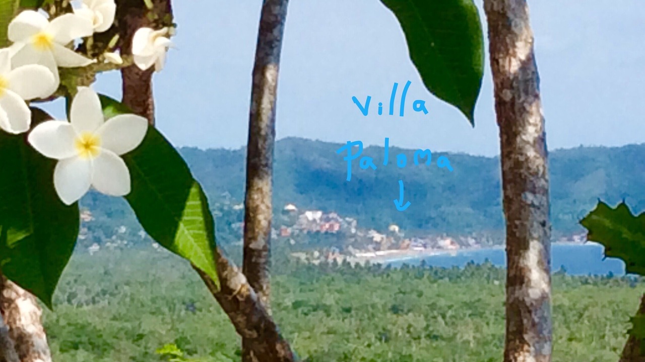 Photo of Outdoor in La Manzanilla