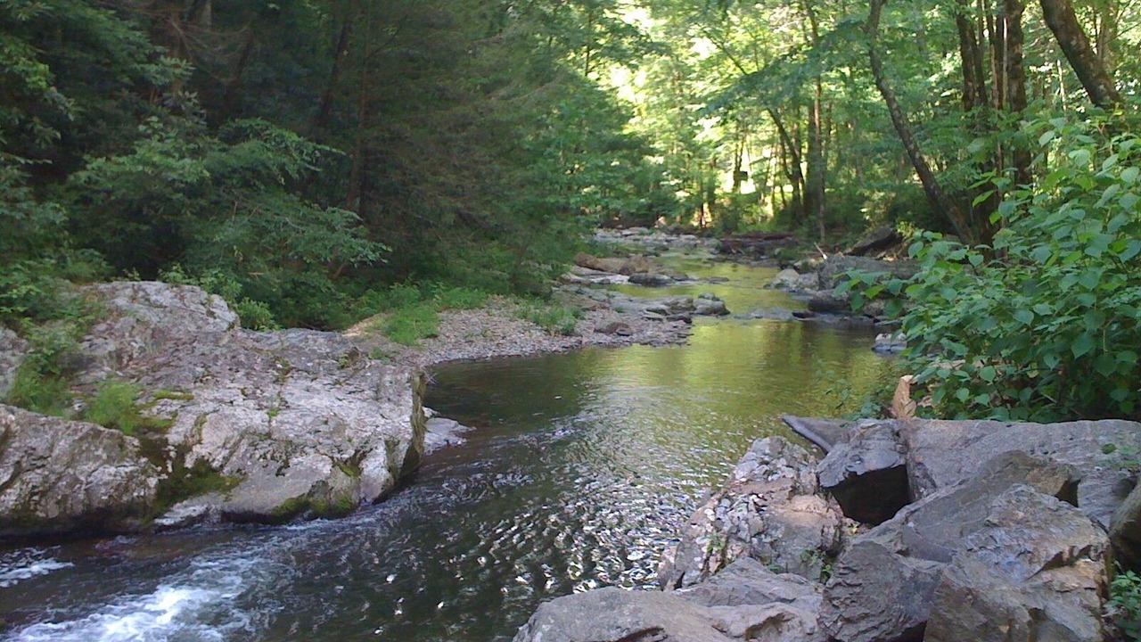 Photo of Outdoor in Townsend