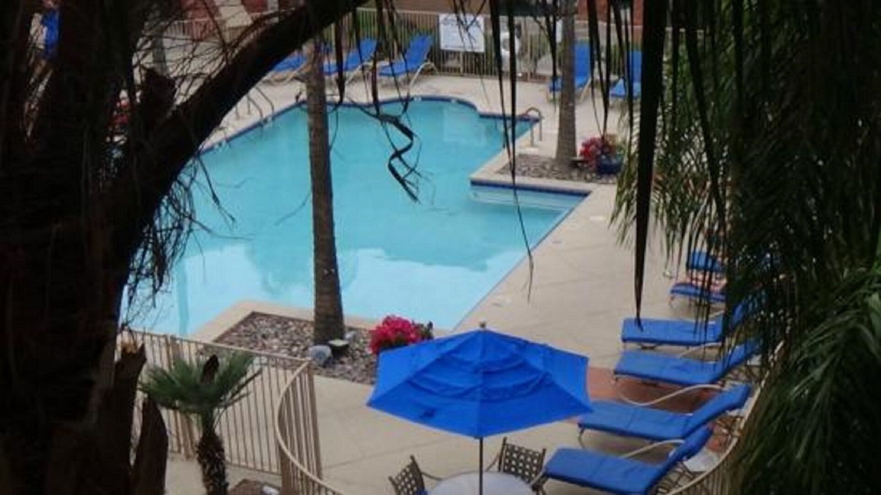 Photo of Outdoor in Palo Verde
