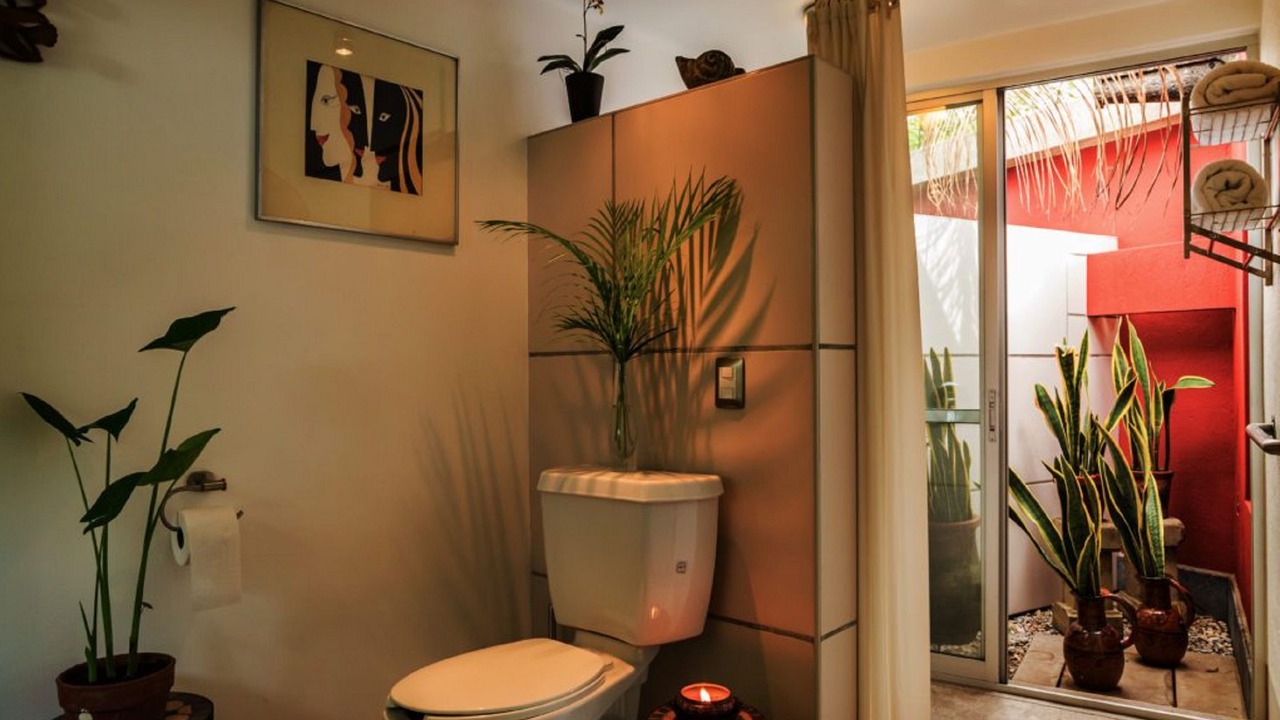 Photo of Bathroom in Xochitepec