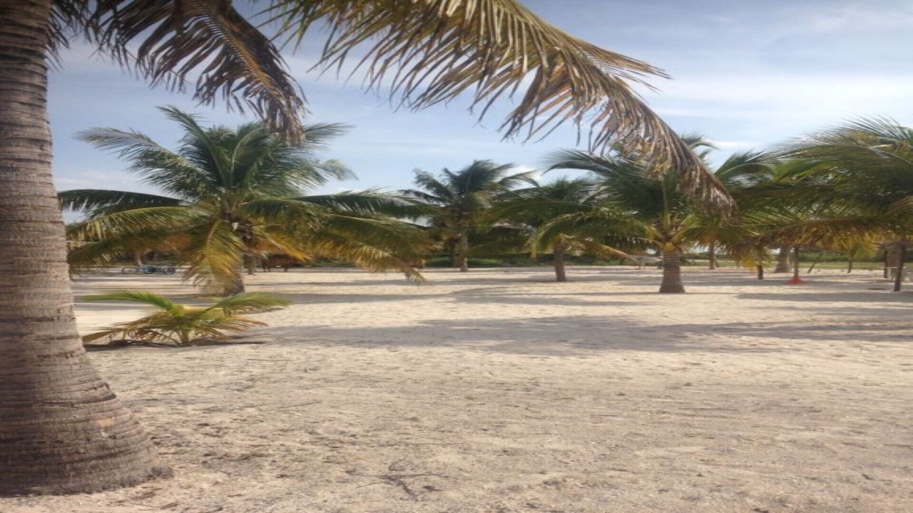 Photo of Outdoor in Celestun