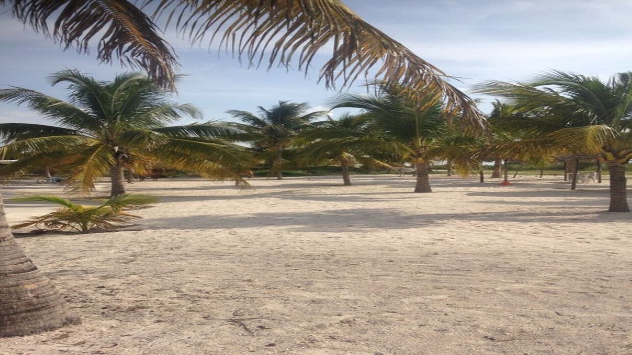 Photo of Outdoor in Celestun