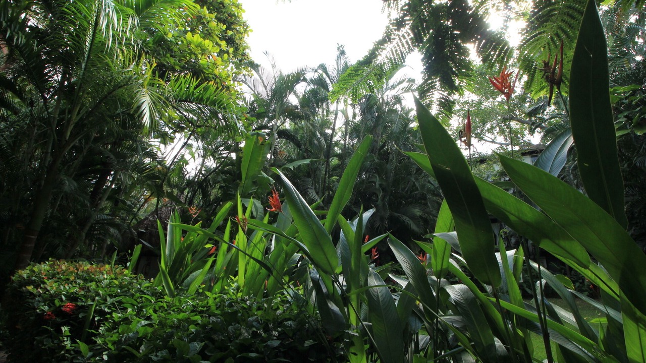 Photo of Outdoor in Fluvial Vallarta