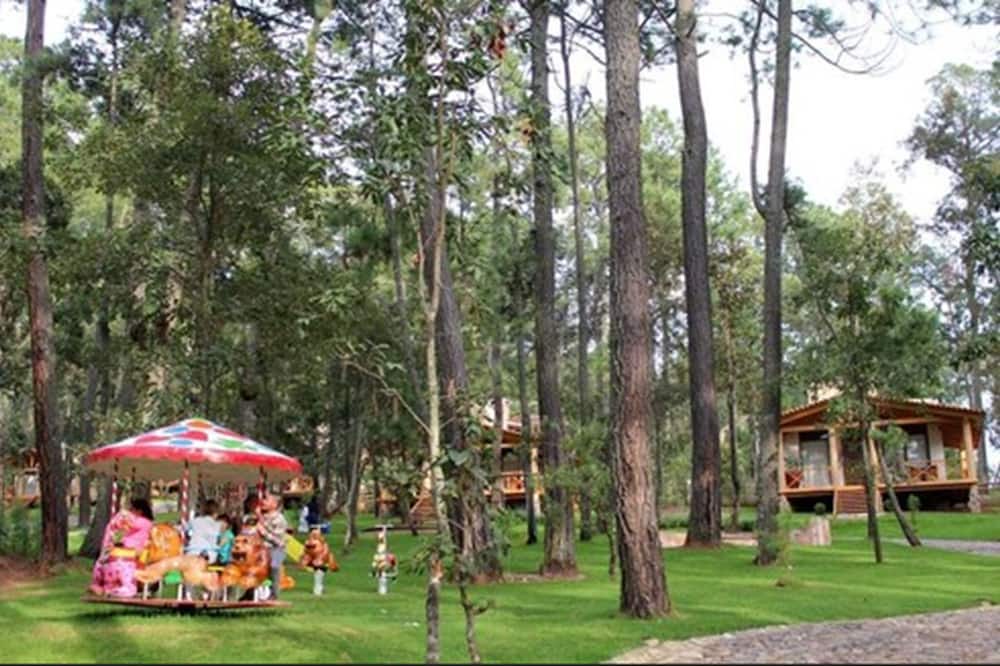 Photo of Others in Tapalpa