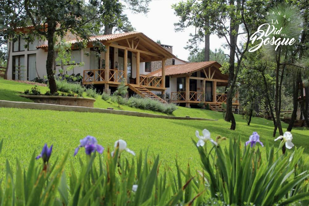 Photo of Outdoor in Tapalpa