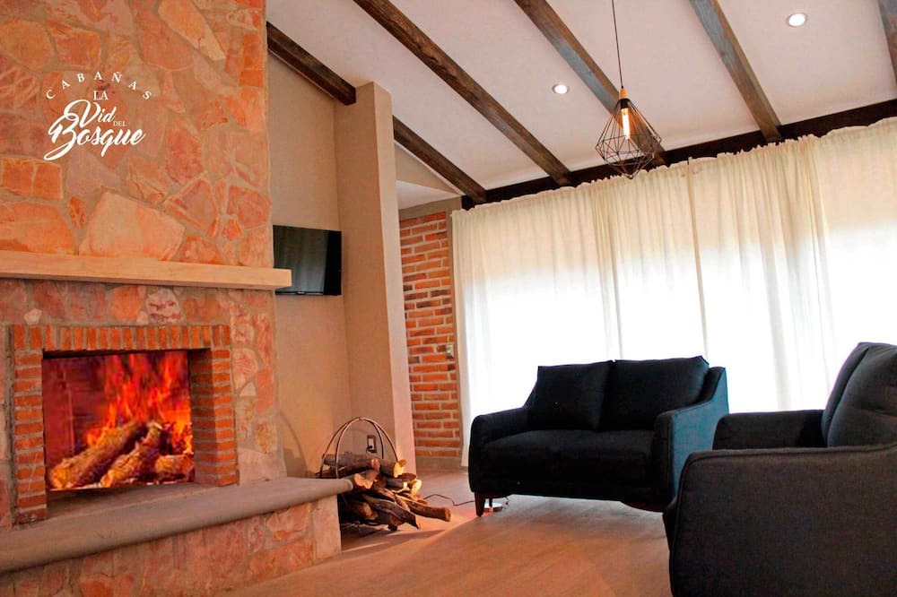 Photo of Livingroom in Tapalpa