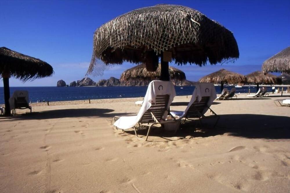 Photo of Others in El Medano Ejidal