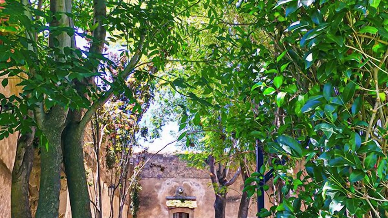 Photo of Outdoor in Huamantla