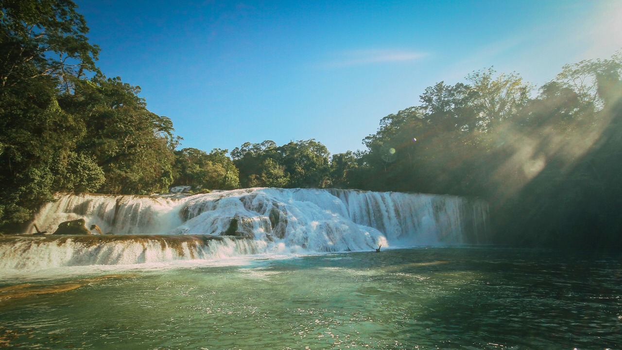 Photo of Others in Palenque