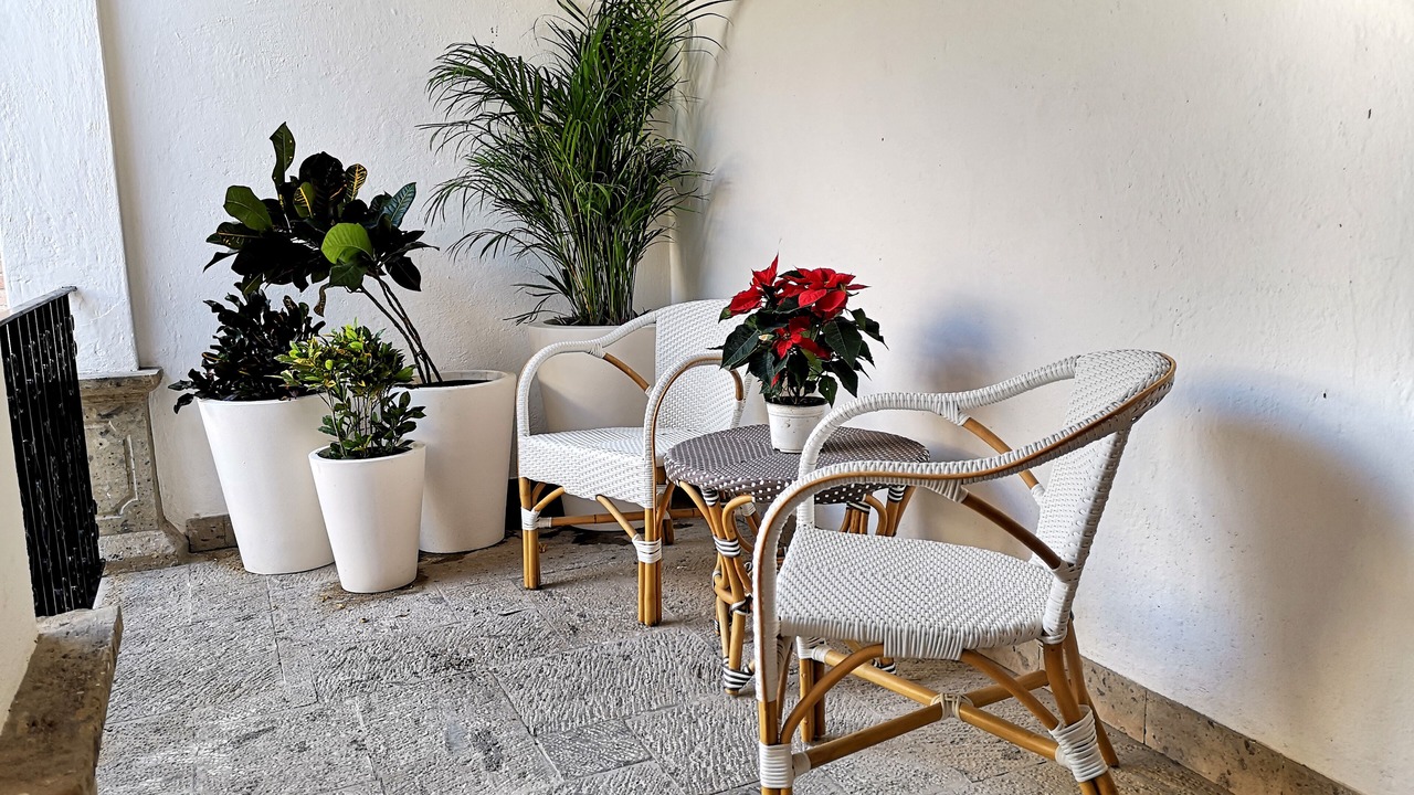 Photo of Patio Balcony in Downtown Puerto Vallarta