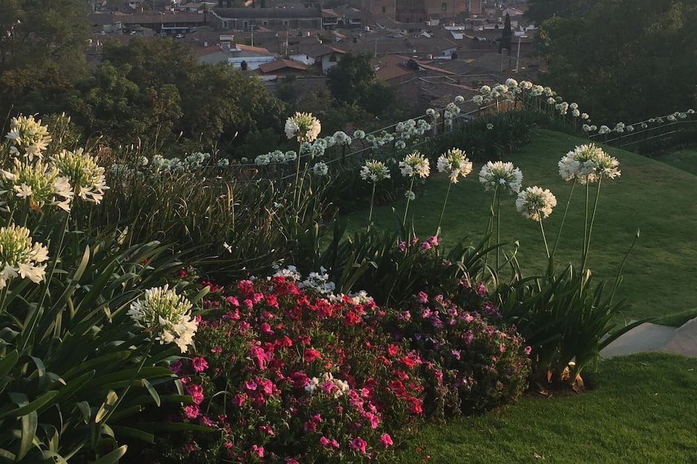 Photo of Others in Tapalpa