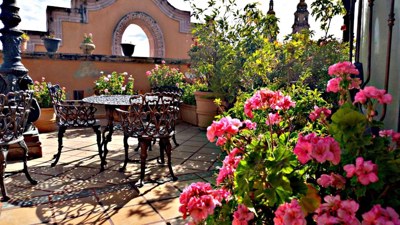 Photo of Outdoor in San Juan de los Lagos
