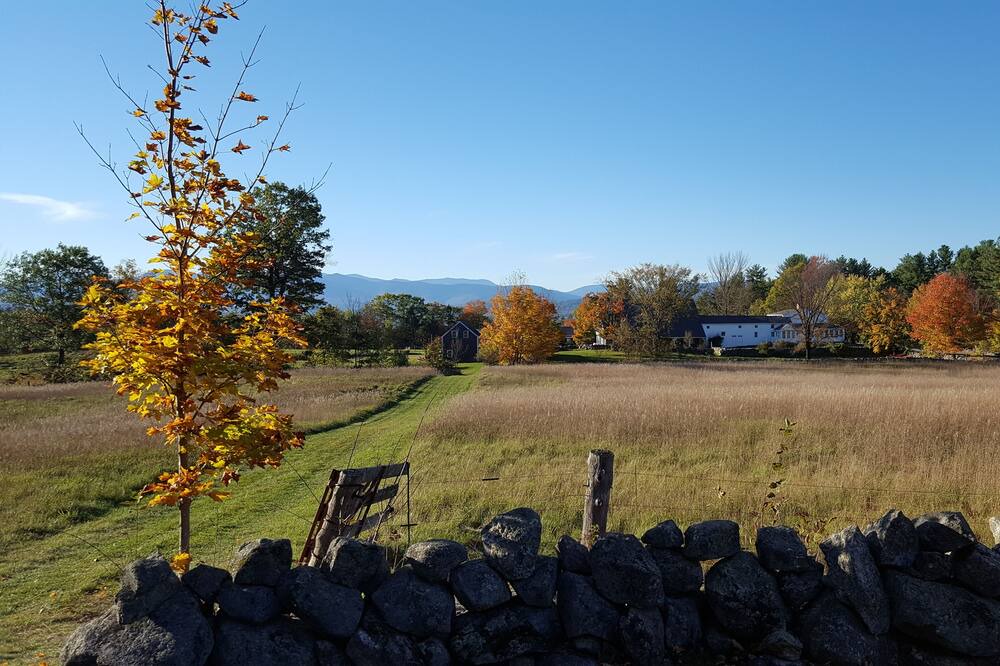 Photo of Outdoor in Center Lovell