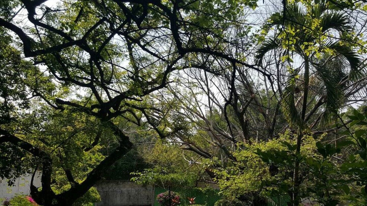 Photo of Outdoor in Crucero Tezoyuca