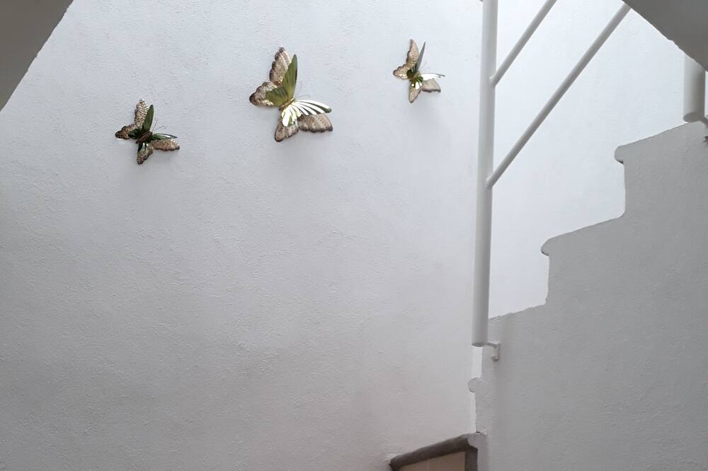 Photo of Others in Mezcales