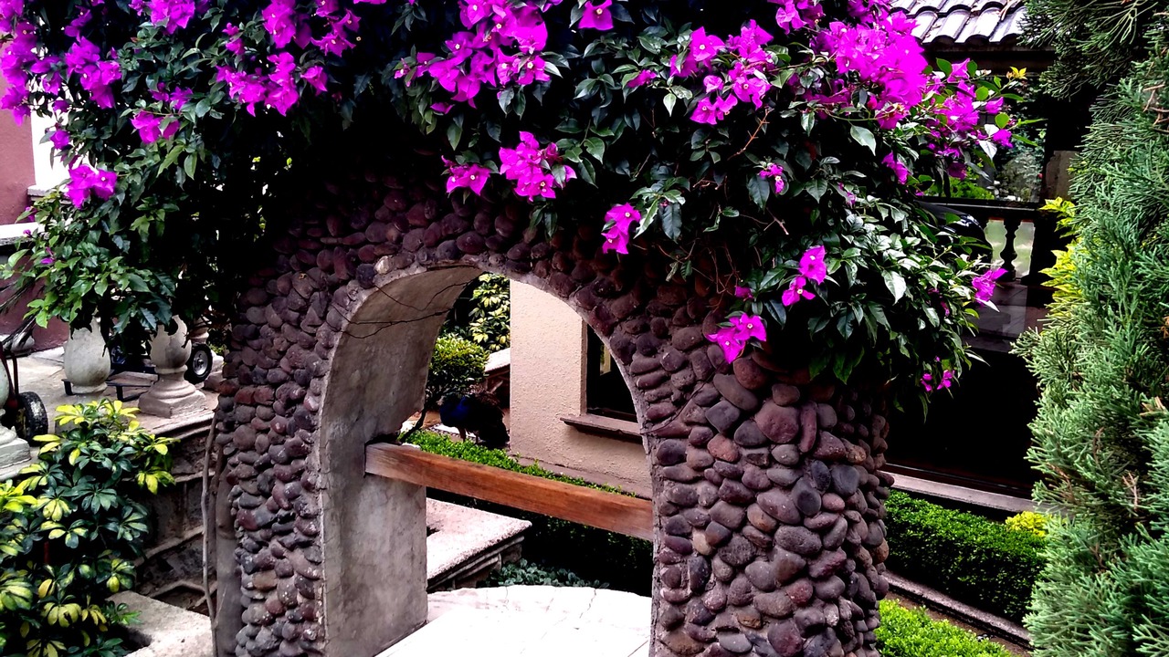 Photo of Outdoor in San Martin Texmelucan