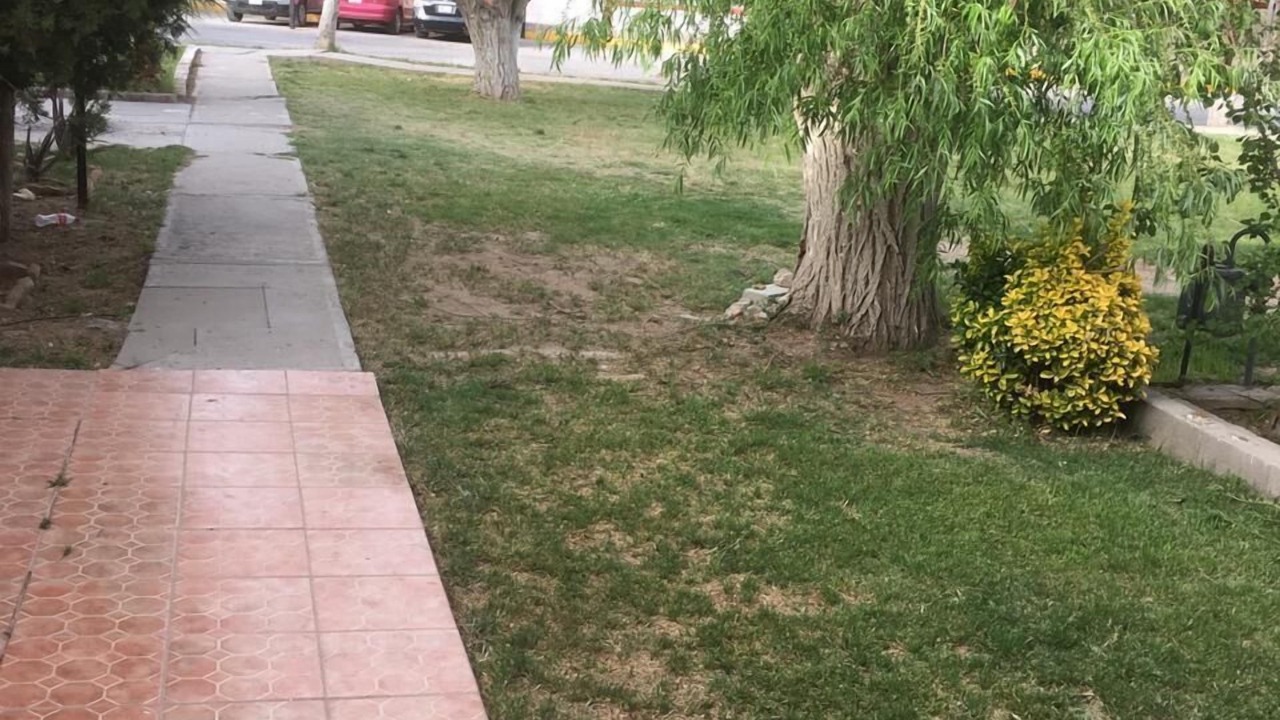 Photo of Outdoor in Juarez Municipality