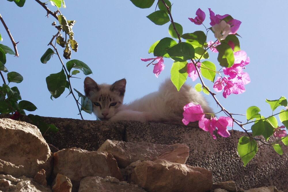 Photo of Outdoor in Barrio de Santiago
