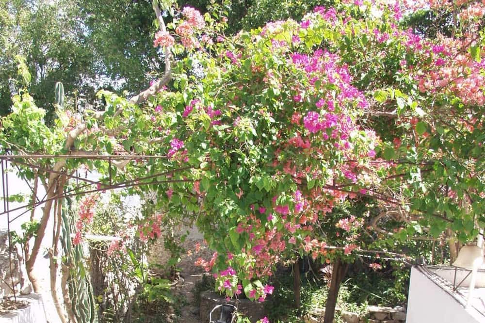 Photo of Outdoor in Barrio de Santiago
