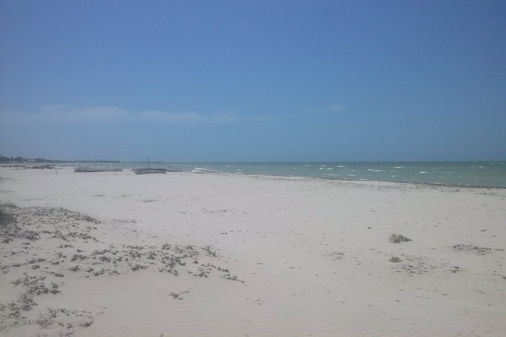 Photo of Others in Yucatan Peninsula